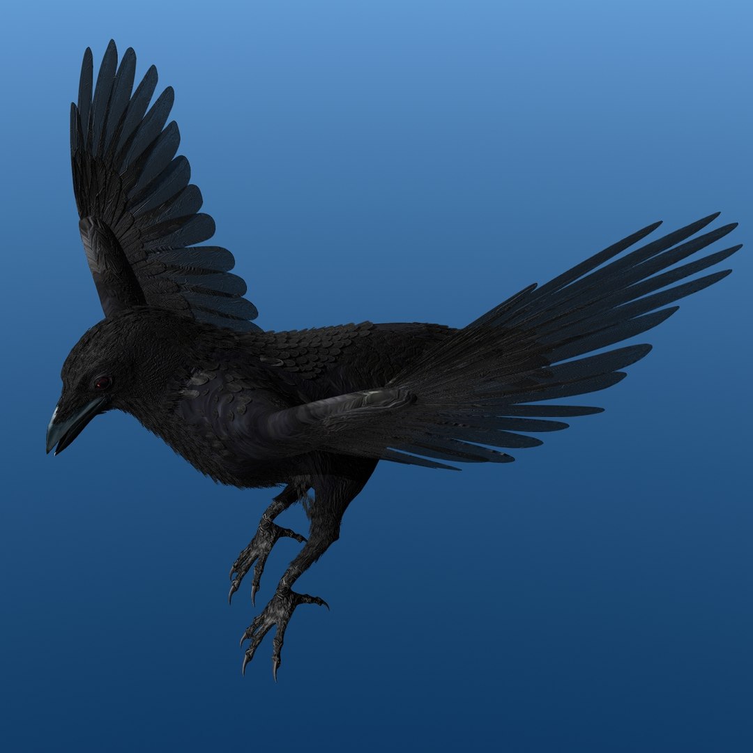 crow rigged lightwave 3d model https://p.turbosquid.com/ts-thumb/EE/3pkjLr/1vMoKqtA/crow201209/jpg/1326935378/1920x1080/fit_q87/88ef5a4d894dc2e71d56172569e03dadd2ae7b45/crow201209.jpg