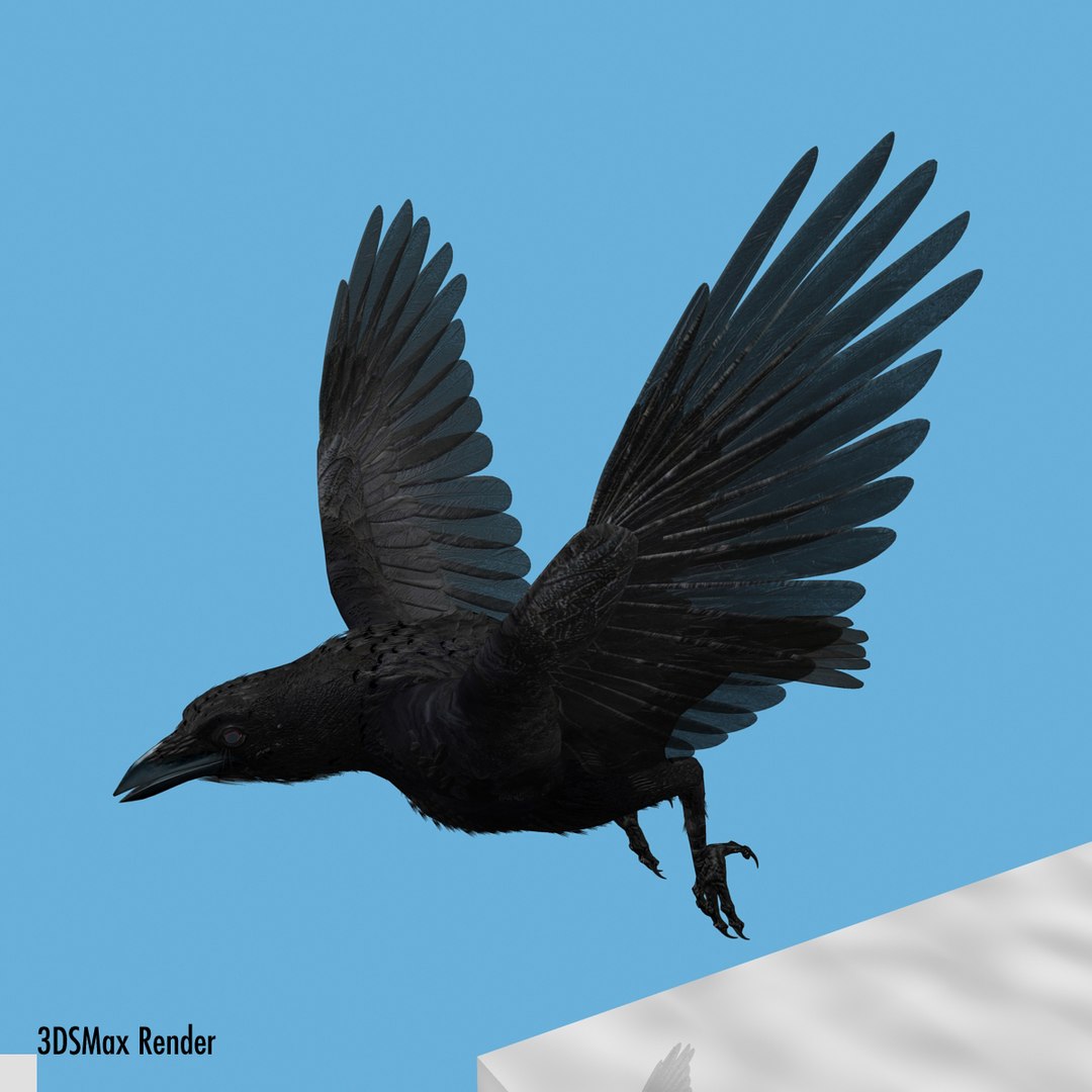 crow rigged lightwave 3d model https://p.turbosquid.com/ts-thumb/EE/3pkjLr/7ISwOad6/crow201220/jpg/1341114060/1920x1080/fit_q87/fe119b7a2d012fd8c5737d1d9ee40040a8763d37/crow201220.jpg