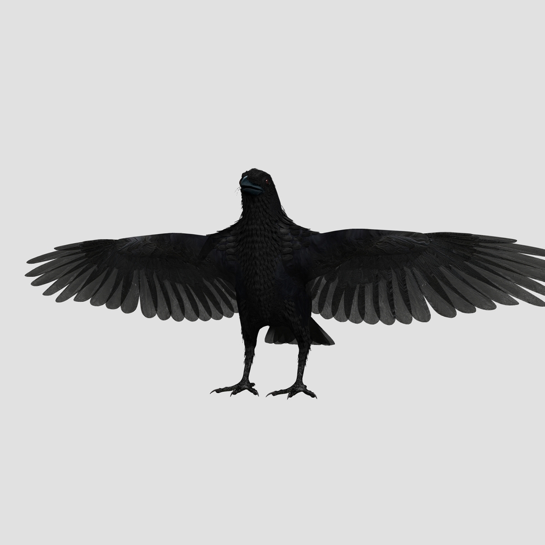 crow rigged lightwave 3d model https://p.turbosquid.com/ts-thumb/EE/3pkjLr/93WPFQ6D/ttb/jpg/1326935713/1920x1080/turn_fit_q99/999b6304c8603d6598020f8b194bcfa99e88f948/ttb-1.jpg