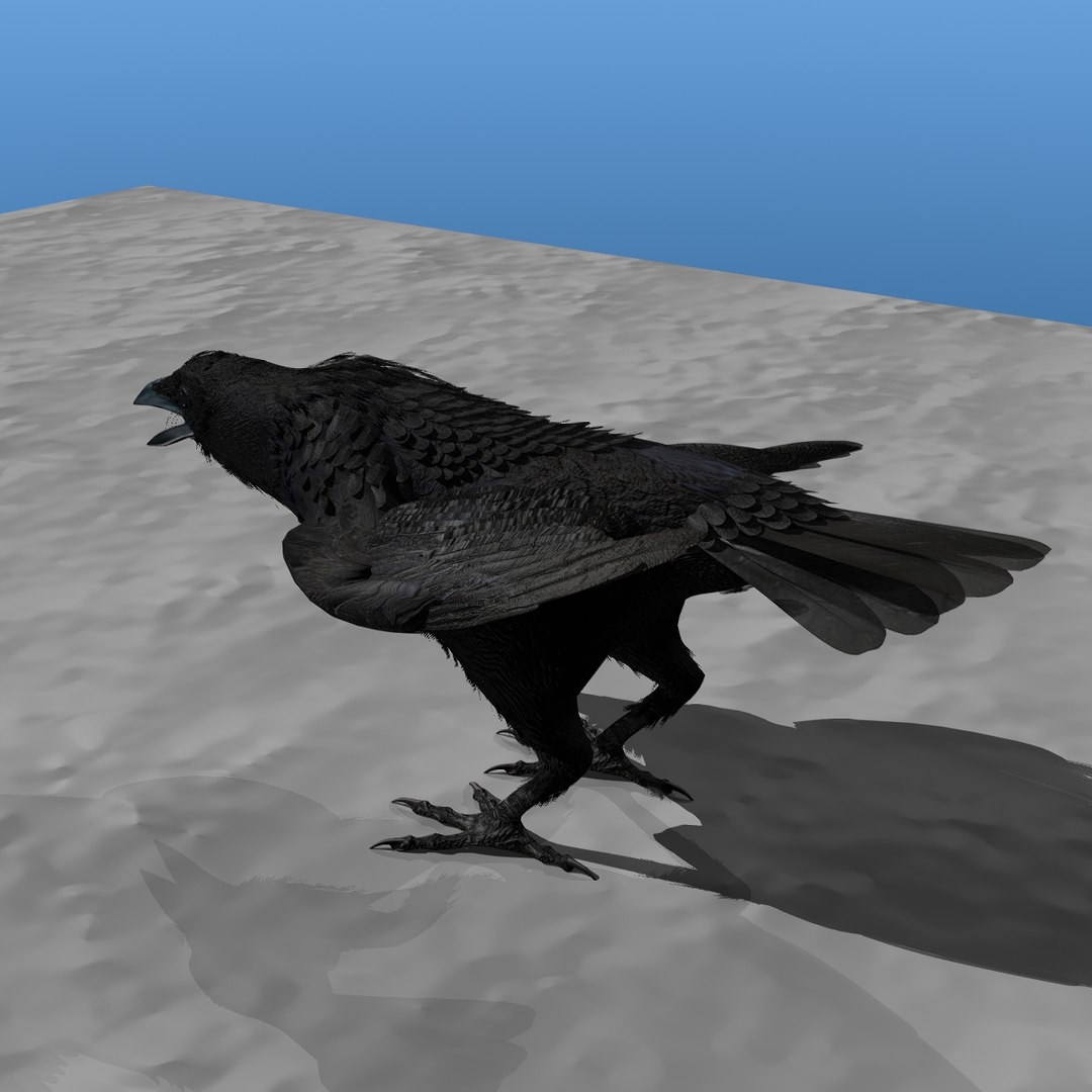 crow rigged lightwave 3d model https://p.turbosquid.com/ts-thumb/EE/3pkjLr/9HDCPeMa/crow201217/jpg/1326935378/1920x1080/fit_q87/dba135a90ba8c31e9c74da21a313f66a25c5d28e/crow201217.jpg