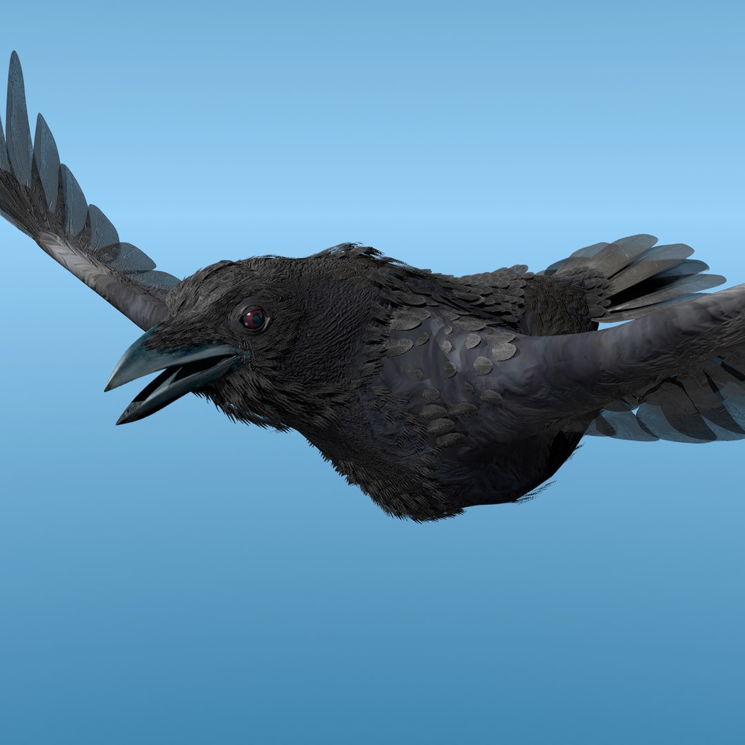 crow rigged lightwave 3d model https://p.turbosquid.com/ts-thumb/EE/3pkjLr/9OHg4arK/crow201202b/jpg/1326935378/1920x1080/fit_q87/0a42a950d2e52f110519bfaaa00e90bb46e9f944/crow201202b.jpg