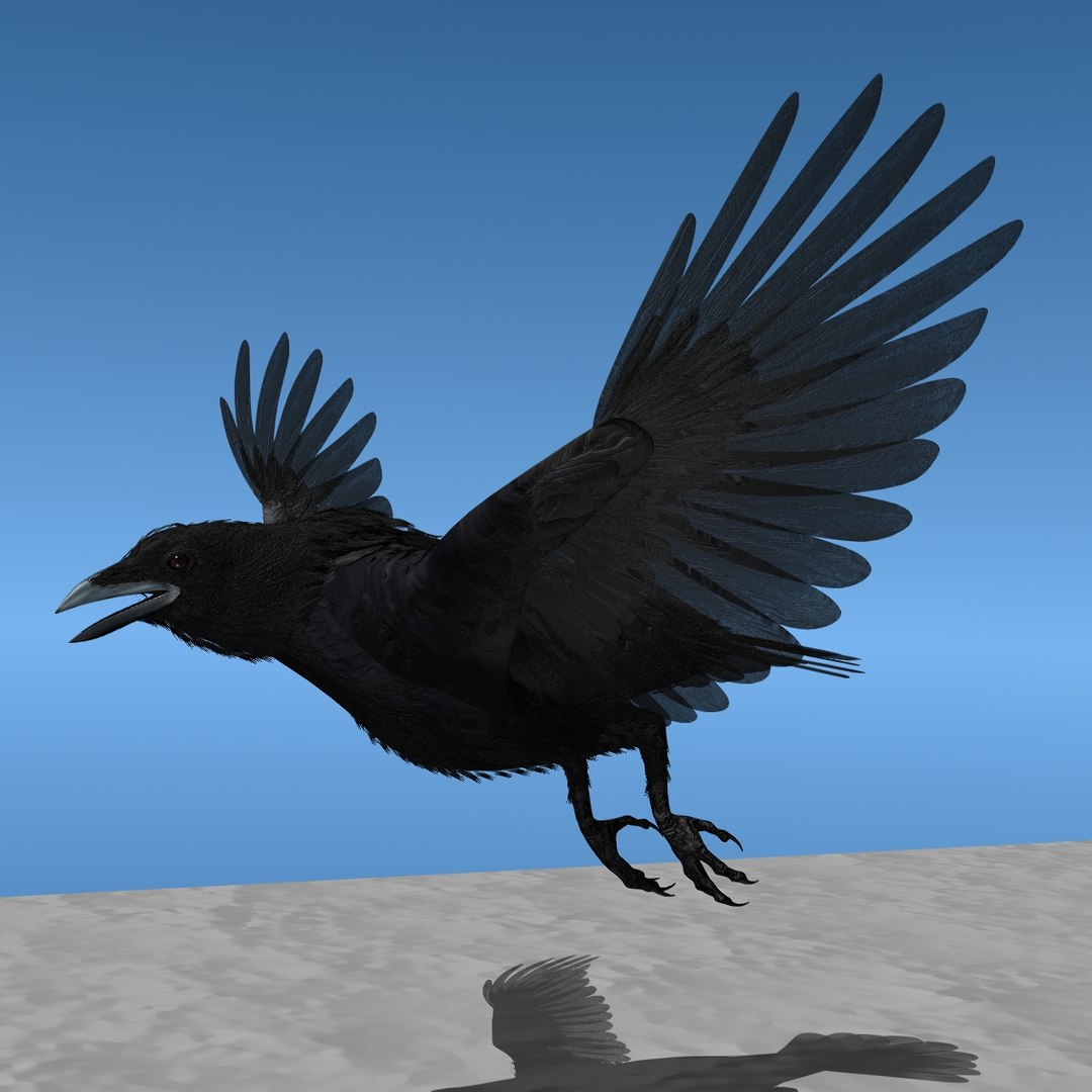 crow rigged lightwave 3d model https://p.turbosquid.com/ts-thumb/EE/3pkjLr/ECP9C6mV/crow201222/jpg/1326935378/1920x1080/fit_q87/73696ef0cd3899822adf266e856fa39bd61e7d61/crow201222.jpg