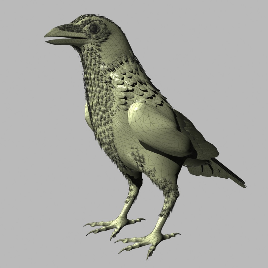 crow rigged lightwave 3d model https://p.turbosquid.com/ts-thumb/EE/3pkjLr/HGgEoSL6/crowhigh05/jpg/1343942359/1920x1080/fit_q87/e0dc315b6f93bdf15bea82c414a45b3a7d1092d5/crowhigh05.jpg