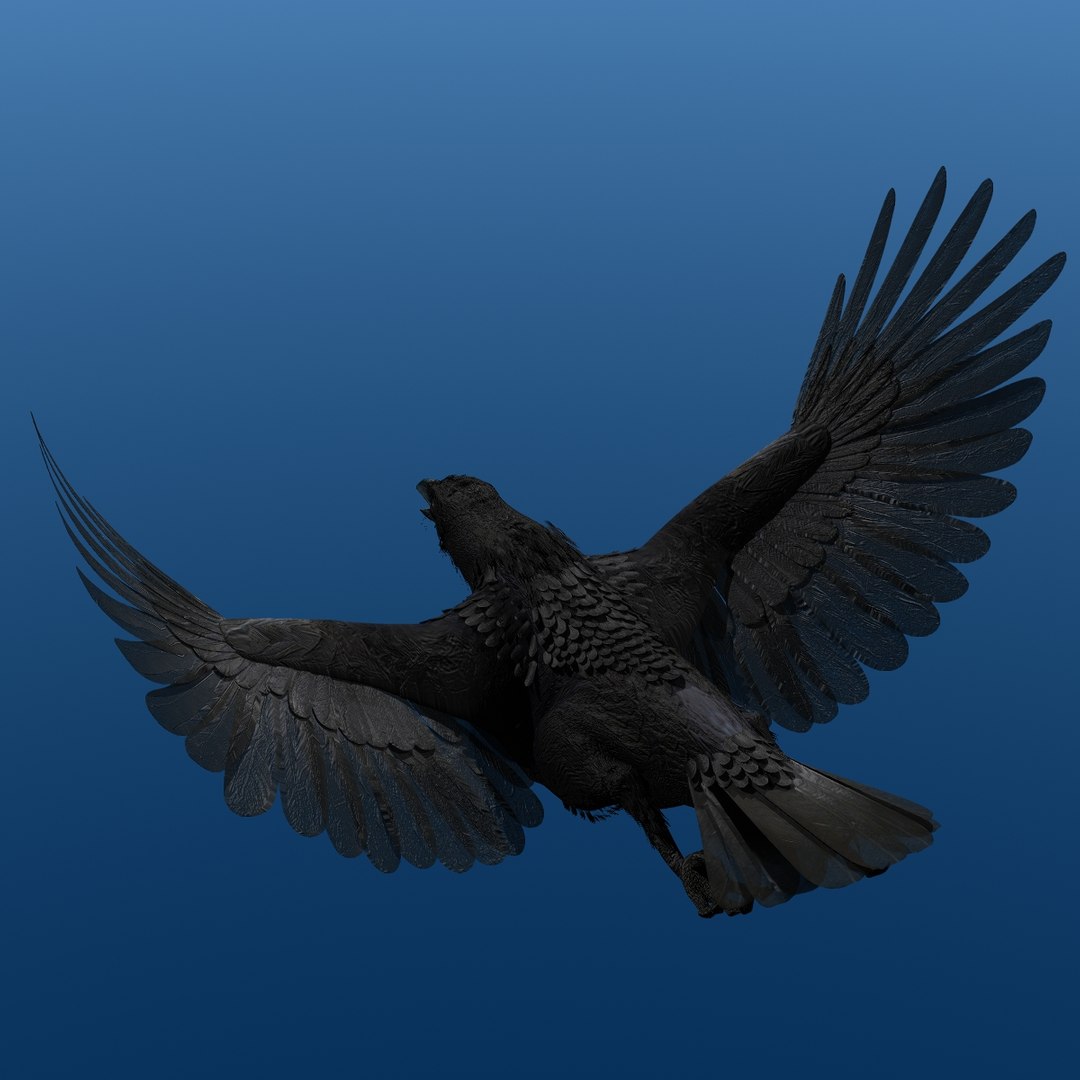 crow rigged lightwave 3d model https://p.turbosquid.com/ts-thumb/EE/3pkjLr/HZwDOYvZ/crow201208/jpg/1326935378/1920x1080/fit_q87/8c0048e96363a91f66c7335eb7e08cc2ad748ab1/crow201208.jpg