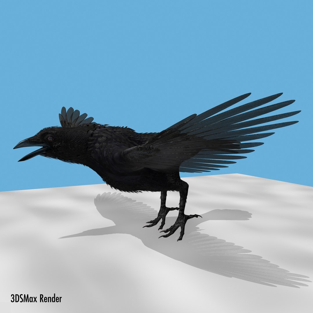 crow rigged lightwave 3d model https://p.turbosquid.com/ts-thumb/EE/3pkjLr/KcCC0jpO/crow201218/jpg/1341114060/1920x1080/fit_q87/fcf86afd72f9f6b61ccd3f576ea44524b2136736/crow201218.jpg