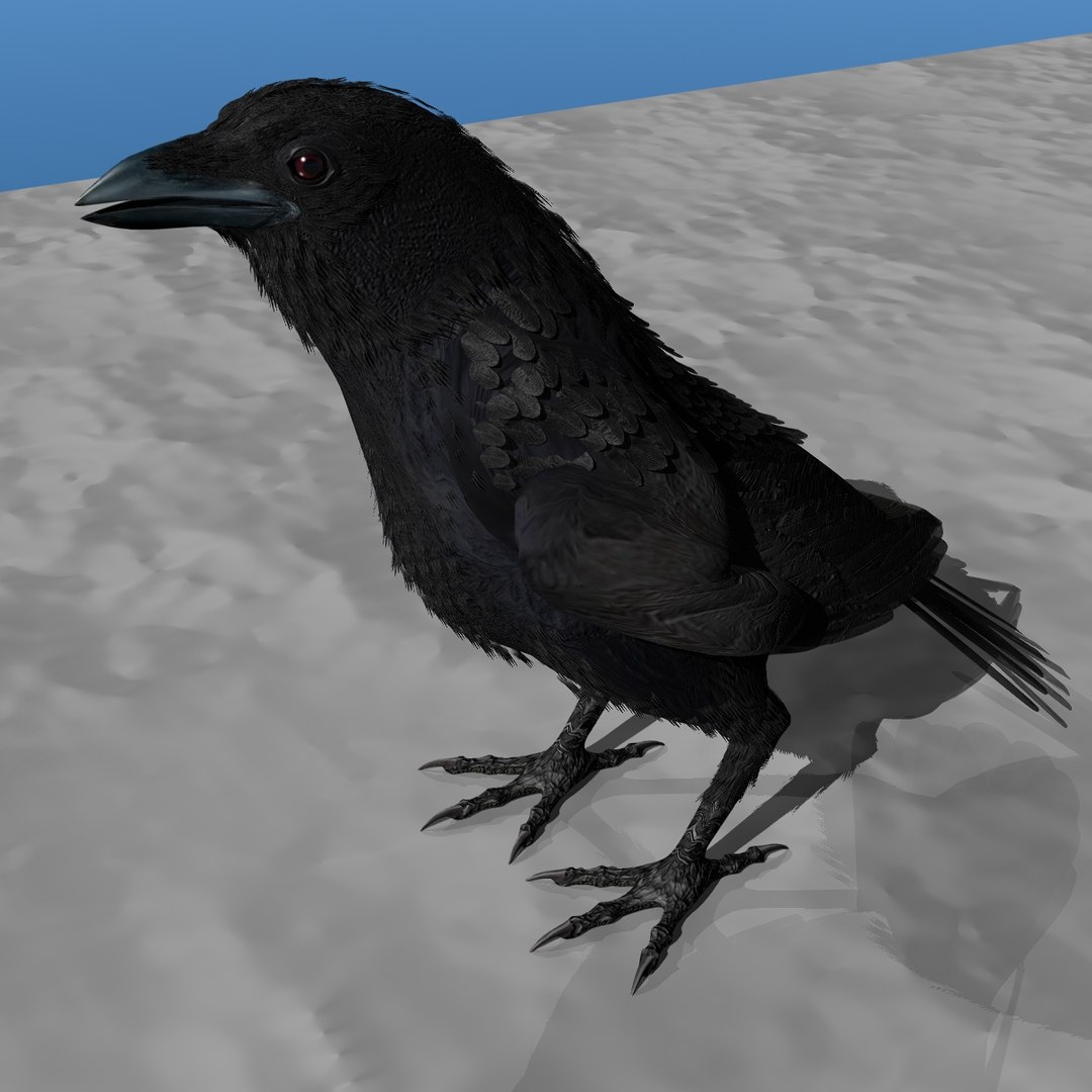 crow rigged lightwave 3d model https://p.turbosquid.com/ts-thumb/EE/3pkjLr/NghGe27Z/crow201218/jpg/1326935378/1920x1080/fit_q87/c4e1fd58fa6bb2358d7361e99b998b57227d9fac/crow201218.jpg