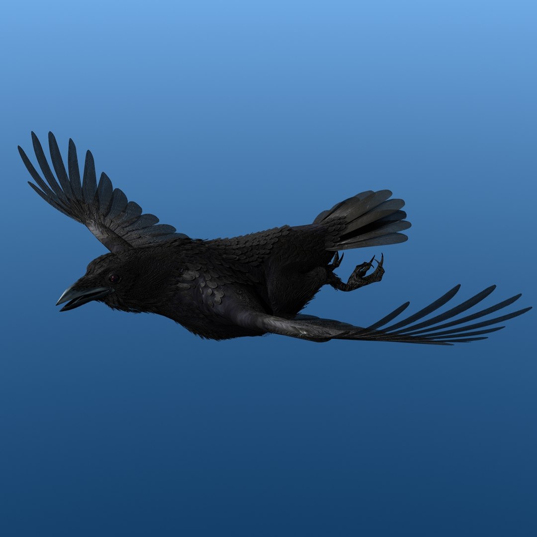 crow rigged lightwave 3d model https://p.turbosquid.com/ts-thumb/EE/3pkjLr/RqY70UCa/crow201203/jpg/1326935378/1920x1080/fit_q87/96512c3376ee8c36ab983cb34bfb51323a469e19/crow201203.jpg