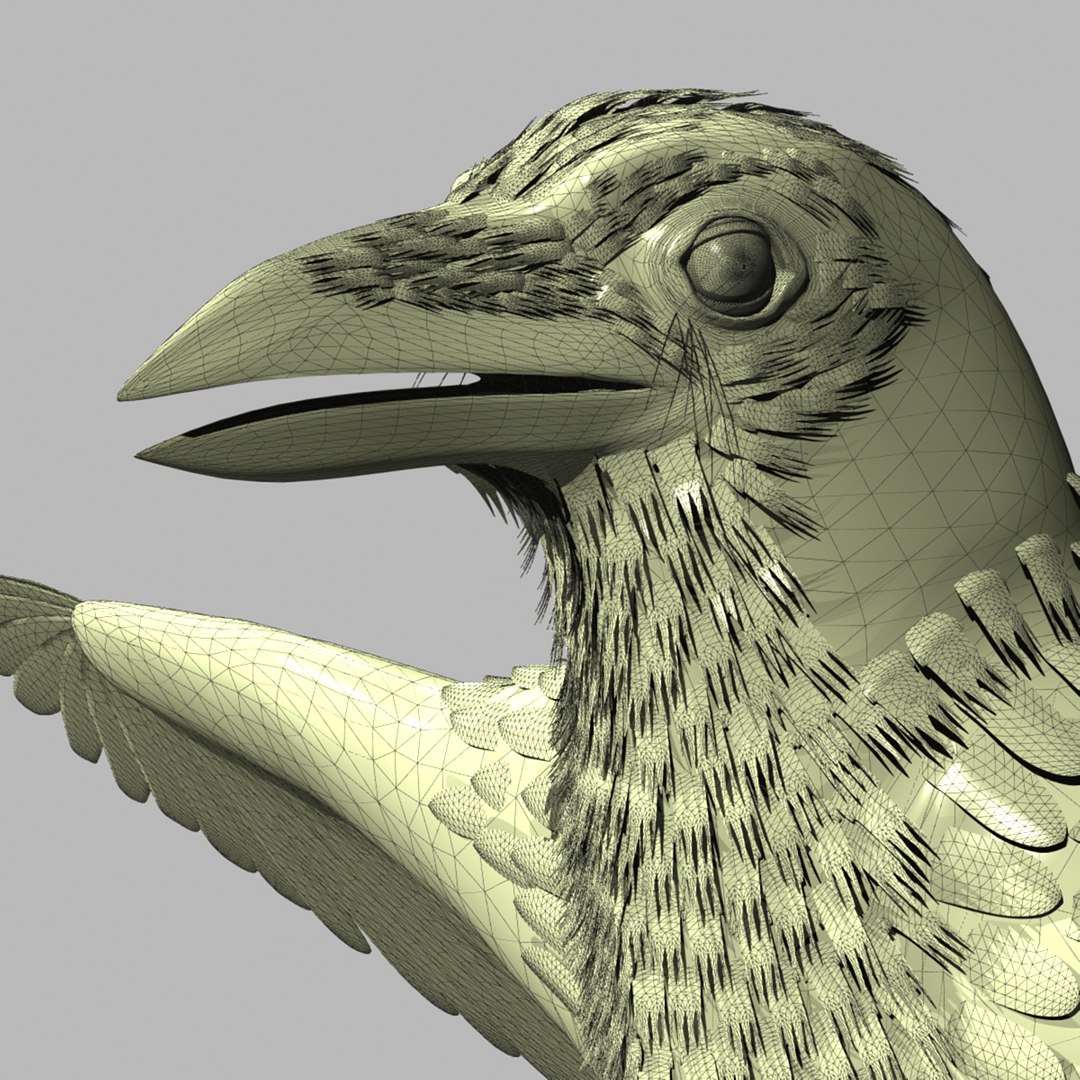 crow rigged lightwave 3d model https://p.turbosquid.com/ts-thumb/EE/3pkjLr/a8XZIFQQ/crowhigh04/jpg/1343942359/1920x1080/fit_q87/47b6625c80d36ebeca31272a77a66fcaf0b1c83c/crowhigh04.jpg