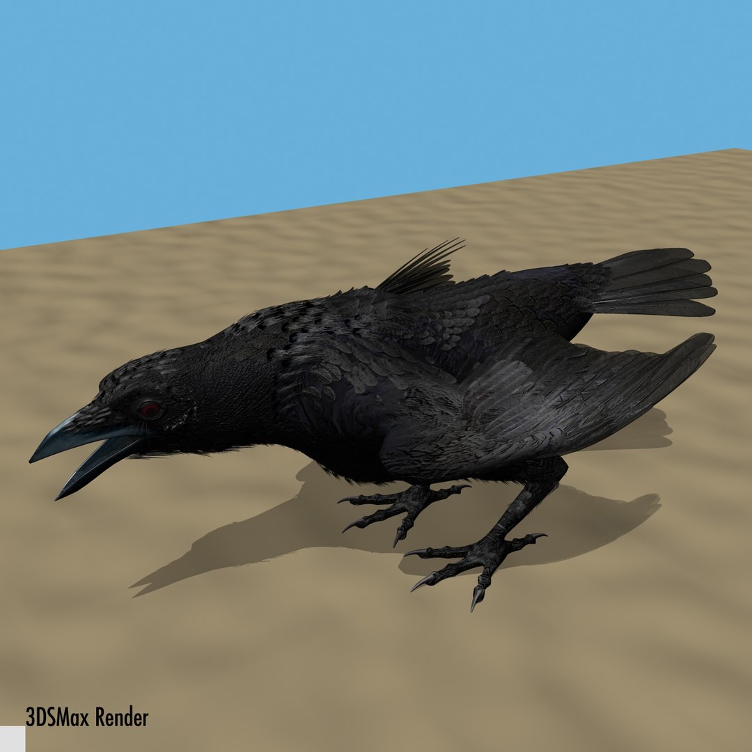 crow rigged lightwave 3d model https://p.turbosquid.com/ts-thumb/EE/3pkjLr/ccXsoKye/crow201215/jpg/1341114060/1920x1080/fit_q87/99c83094b72470d9f0a13028d3525b5e69ae6458/crow201215.jpg