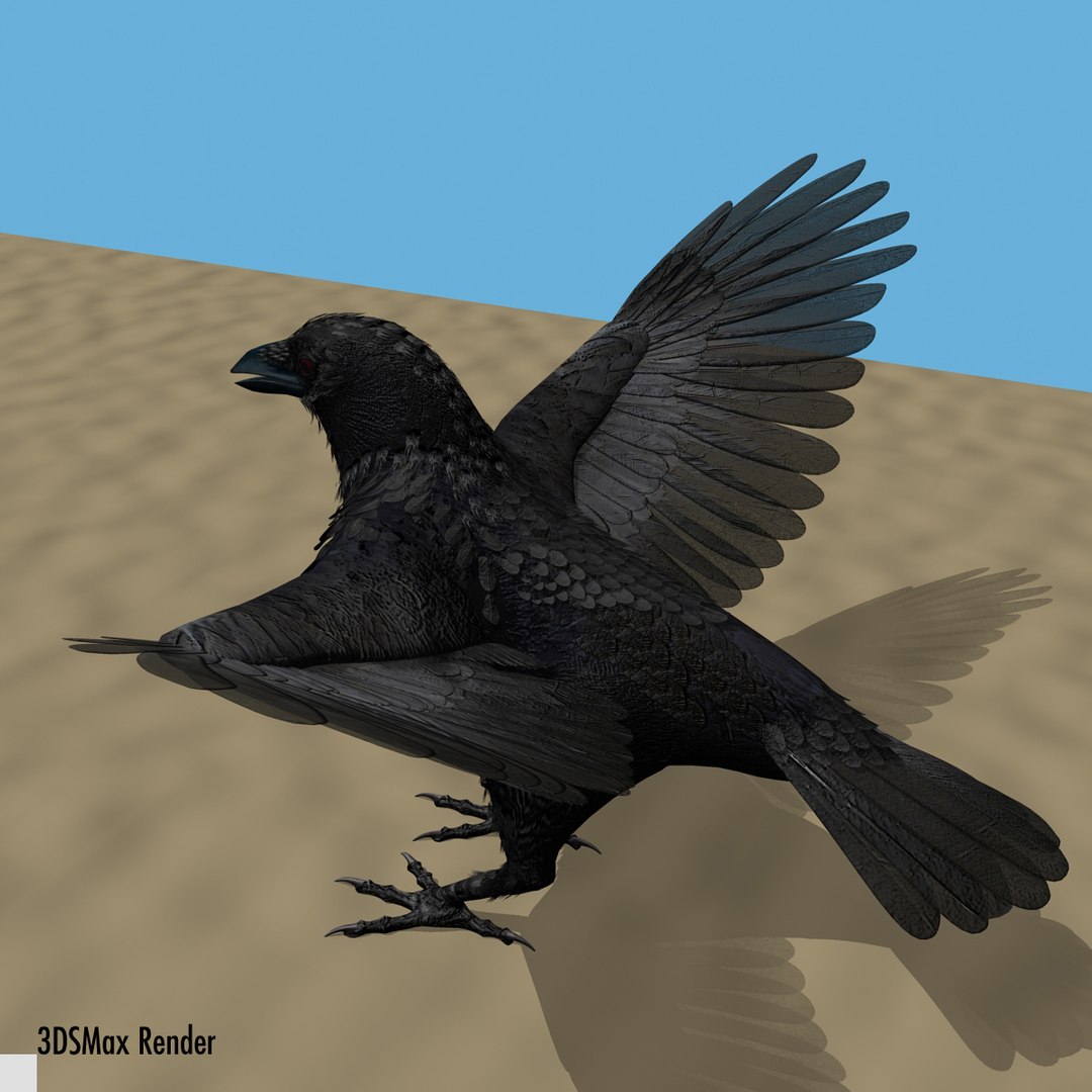 crow rigged lightwave 3d model https://p.turbosquid.com/ts-thumb/EE/3pkjLr/fh9V40UF/crow201213/jpg/1341114059/1920x1080/fit_q87/62f99f84e56cd4c10fb5c844933a126cca2a067b/crow201213.jpg