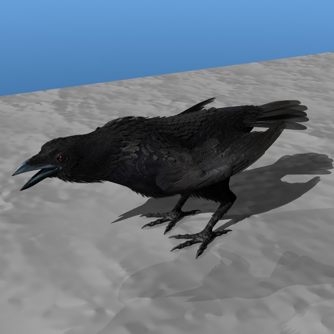 crow rigged lightwave 3d model https://p.turbosquid.com/ts-thumb/EE/3pkjLr/gjHoyrBB/crow201216/jpg/1326935378/1920x1080/fit_q87/64eb53f6ef96268847ee6aebb041d0ec15b60fc2/crow201216.jpg