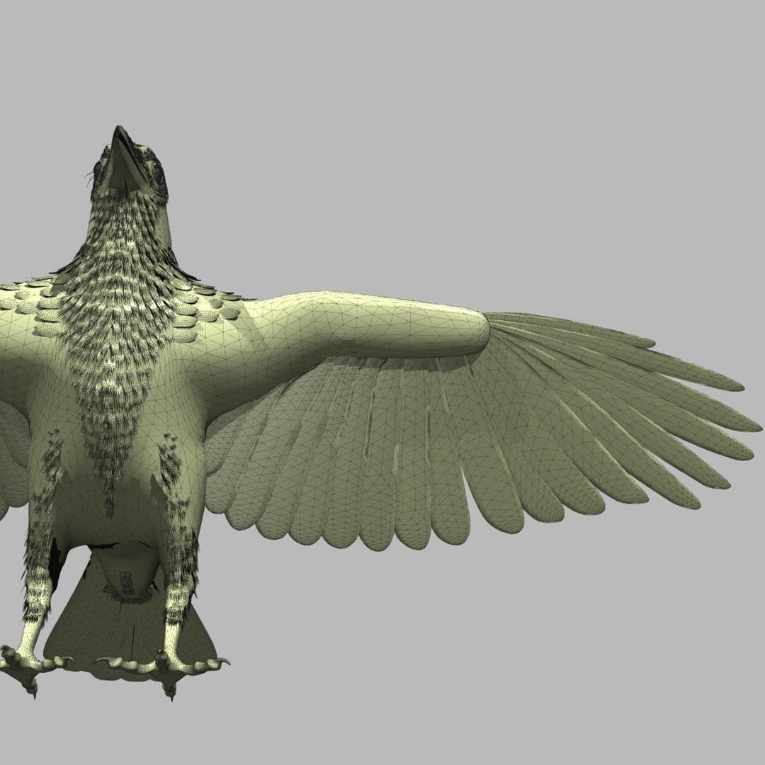 crow rigged lightwave 3d model https://p.turbosquid.com/ts-thumb/EE/3pkjLr/hlM0YRlr/crowhigh03/jpg/1343942359/1920x1080/fit_q87/e9e98a3e0d5cfb7f03135a97ba91170cadccc339/crowhigh03.jpg