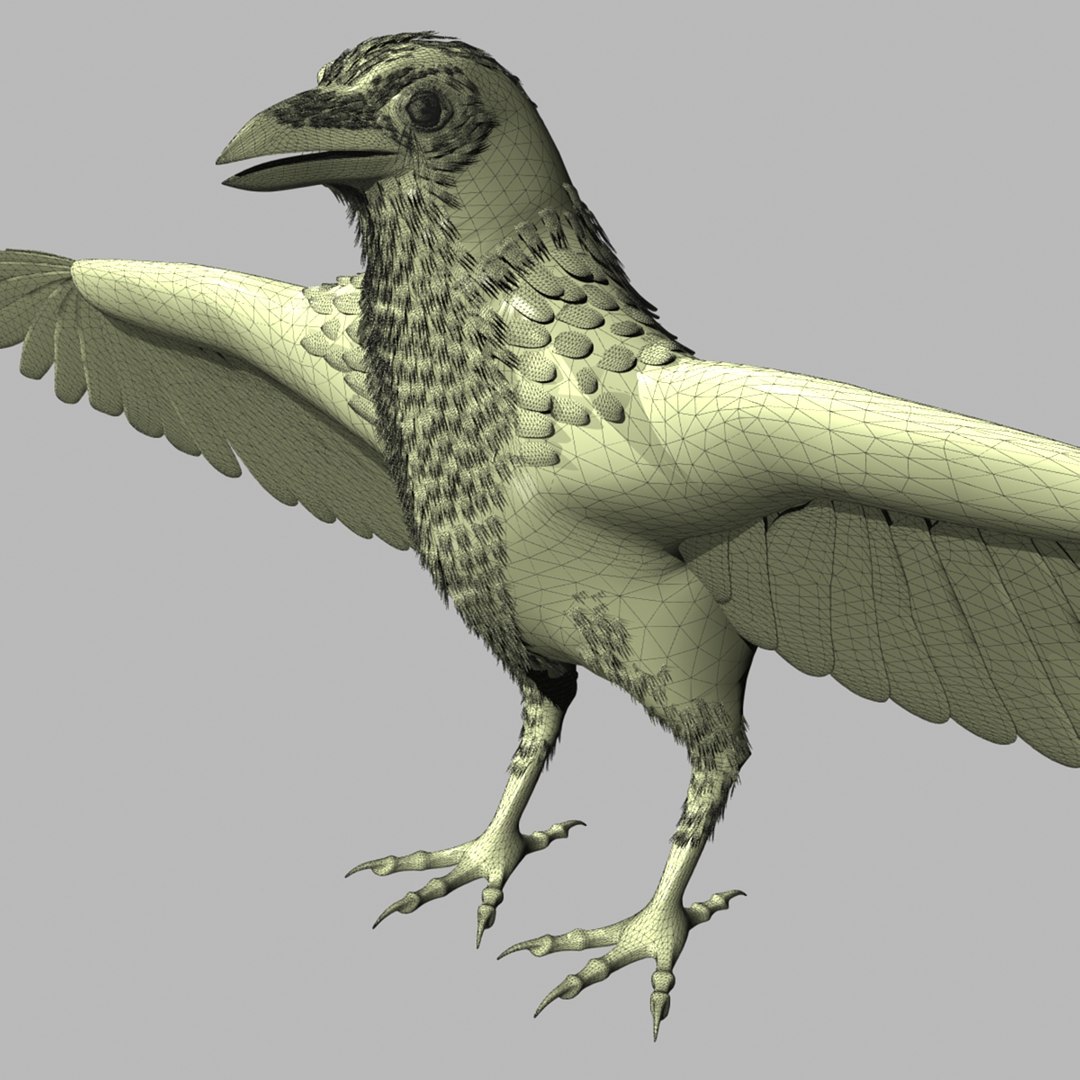 crow rigged lightwave 3d model https://p.turbosquid.com/ts-thumb/EE/3pkjLr/kze0ThSr/crowhigh01/jpg/1343942359/1920x1080/fit_q87/9a9b9f3711a64c5821f1053f72a73ccaf39ab978/crowhigh01.jpg
