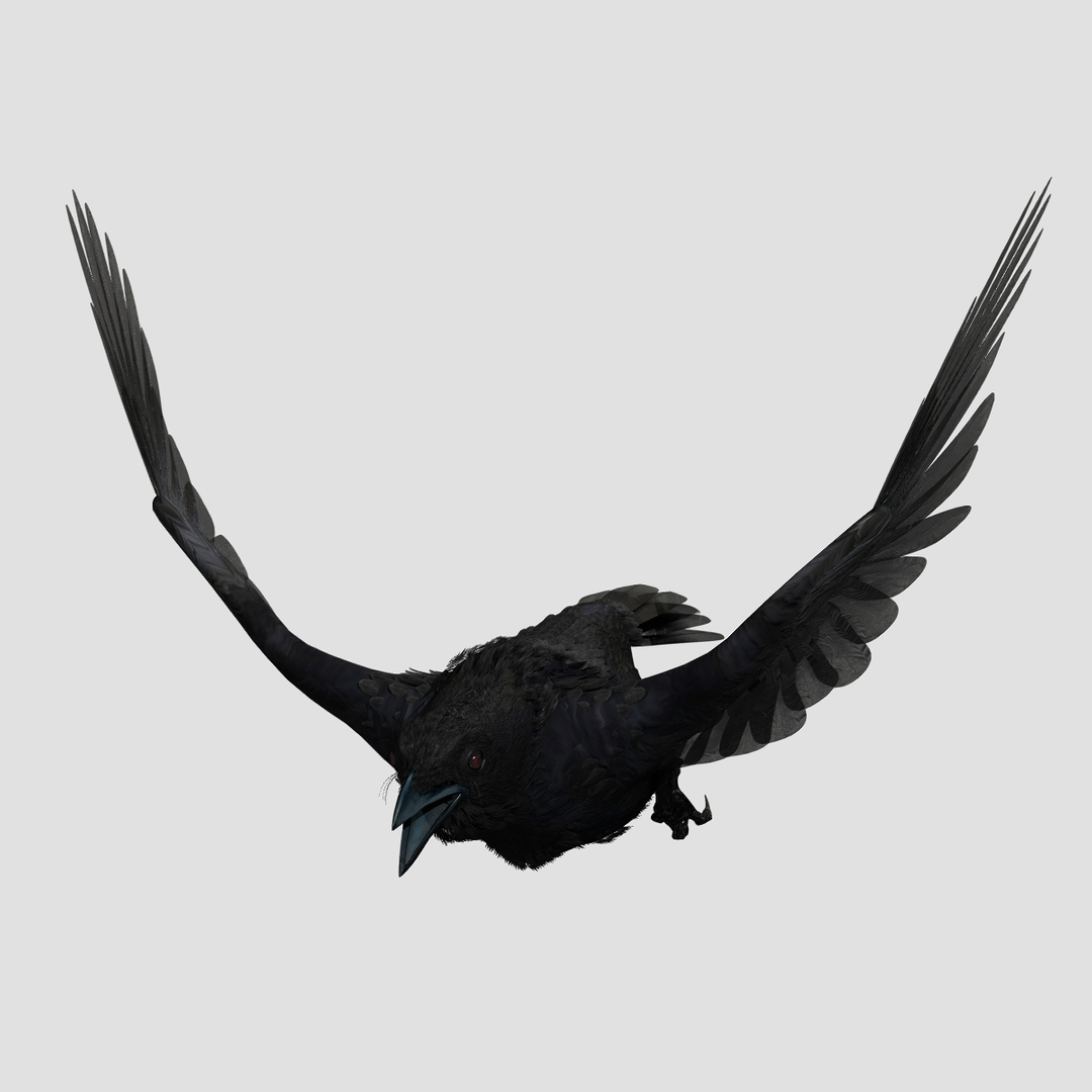 crow rigged lightwave 3d model https://p.turbosquid.com/ts-thumb/EE/3pkjLr/lBPb81Xm/ttc/jpg/1326935745/1920x1080/turn_fit_q99/ebac84ba0232698f40c53449bdd93077e9b56c6b/ttc-1.jpg