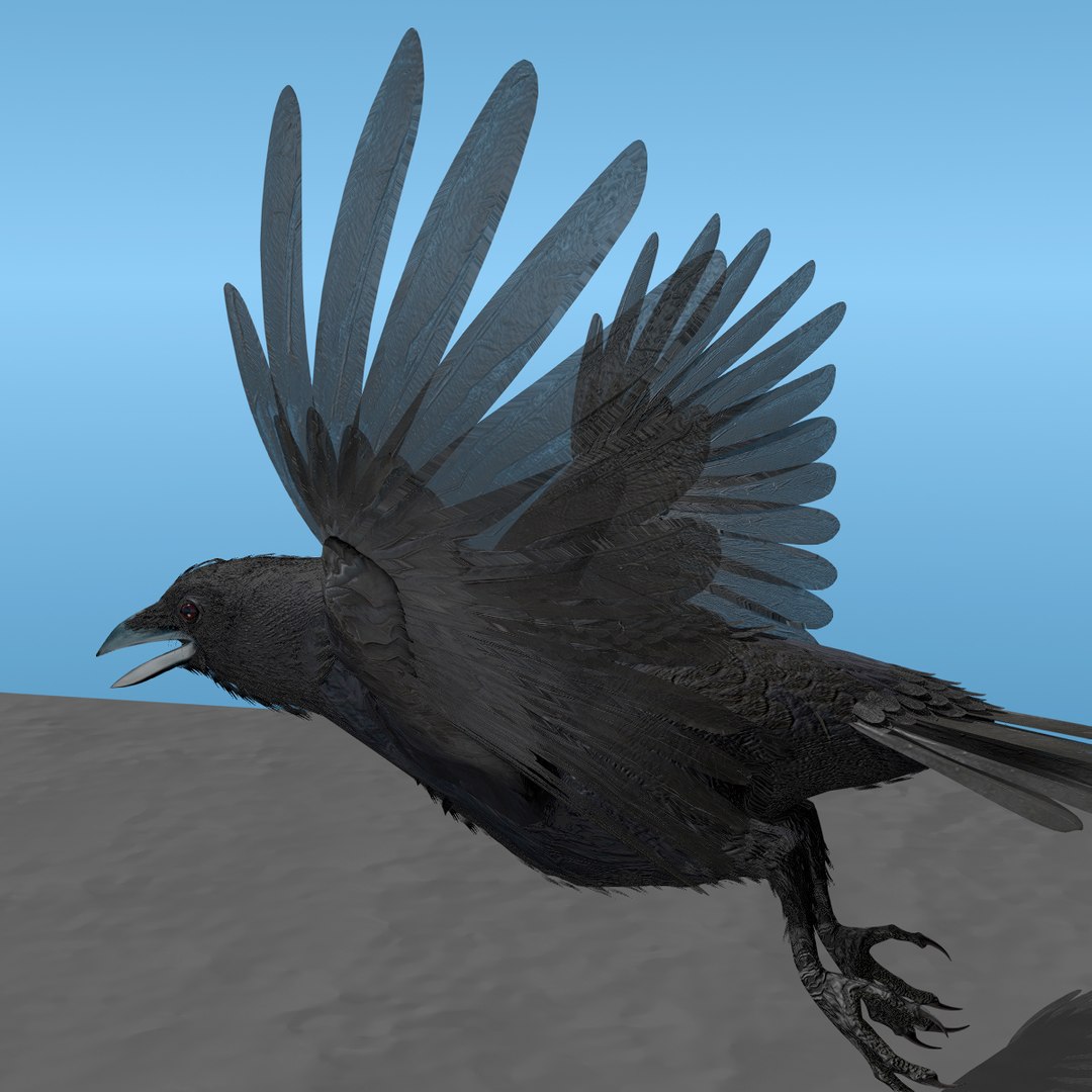 crow rigged lightwave 3d model https://p.turbosquid.com/ts-thumb/EE/3pkjLr/leBgARtg/crowfly011200x/jpg/1326935378/1920x1080/fit_q87/6fac76a2bd73d32ecbc73d78f5508f656d70645d/crowfly011200x.jpg