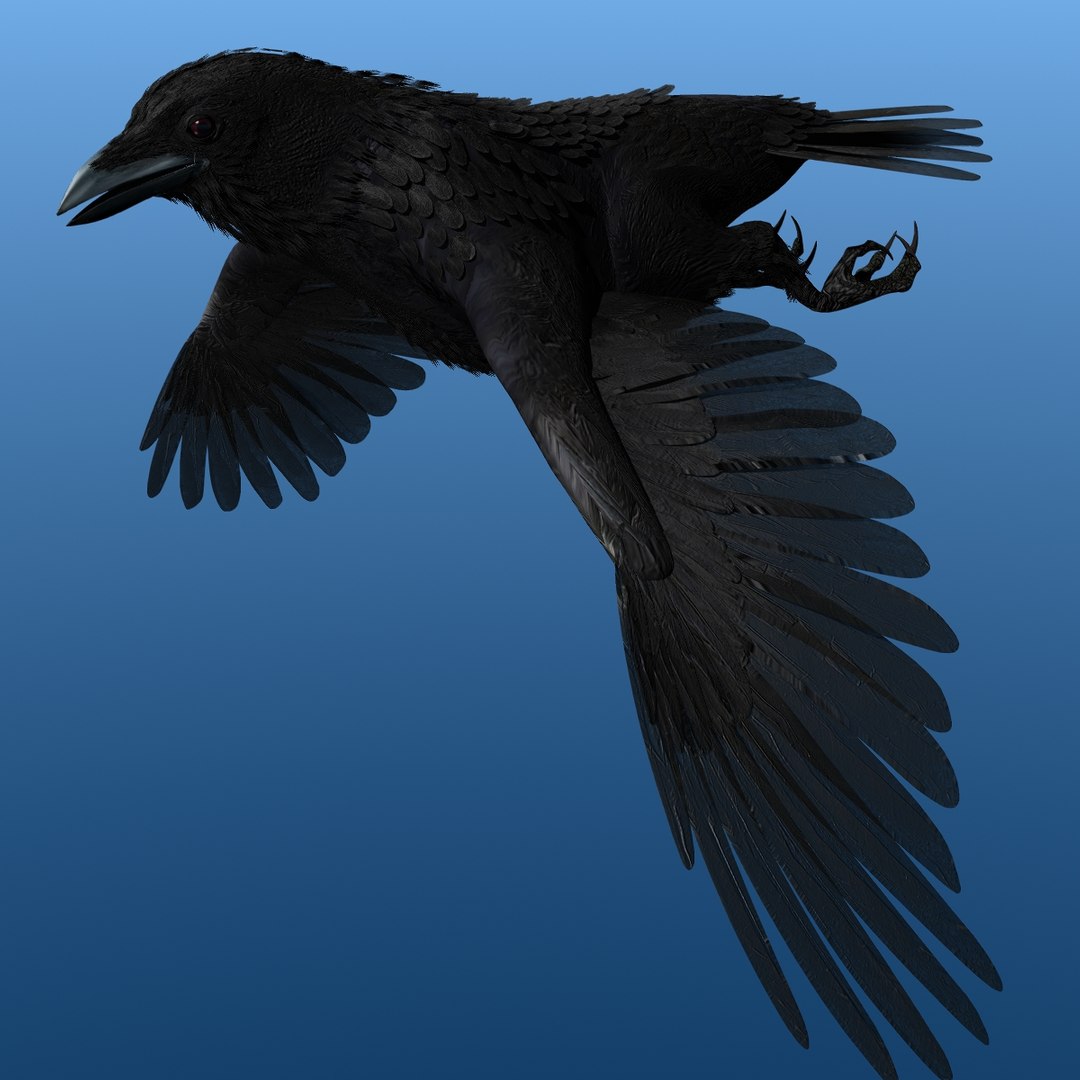 crow rigged lightwave 3d model https://p.turbosquid.com/ts-thumb/EE/3pkjLr/lsPHR3Zz/crow201204/jpg/1326935378/1920x1080/fit_q87/c6bbbf3dd666030a655ce5a0c2123a27e2efec91/crow201204.jpg
