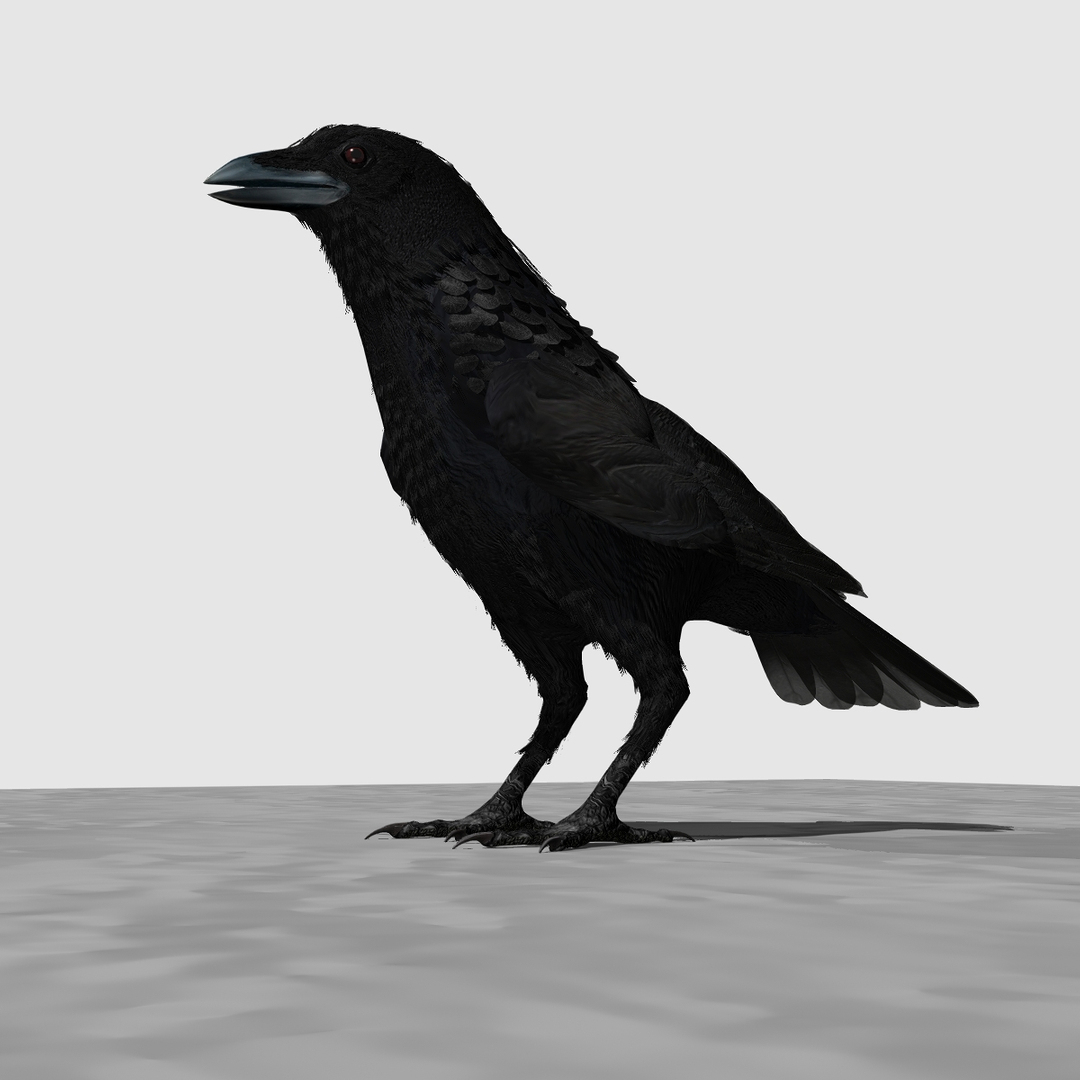 crow rigged lightwave 3d model https://p.turbosquid.com/ts-thumb/EE/3pkjLr/th8b0l1f/wingsopen/jpg/1327281492/1920x1080/turn_fit_q99/b3dee8eaabcb104958c07e0dc98785b6330a9aed/wingsopen-1.jpg