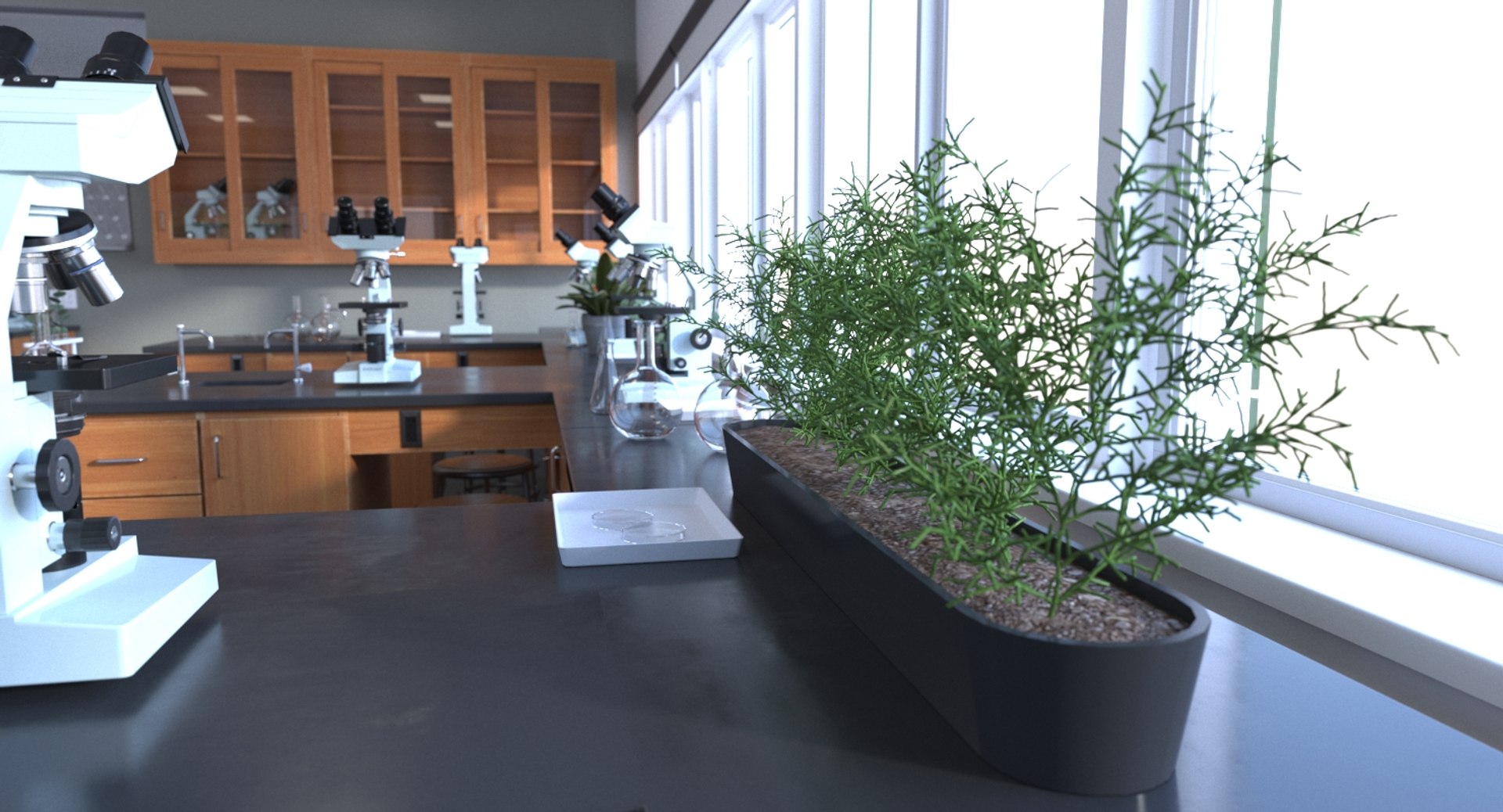 realistic school interiors 3D model https://p.turbosquid.com/ts-thumb/EE/TRXCm2/1sPkZfE8/035_biolab_cam_006/jpg/1564148928/1920x1080/fit_q87/830524b593c59947cf3475ca5755af40bbff3c04/035_biolab_cam_006.jpg