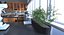 School with Interiors