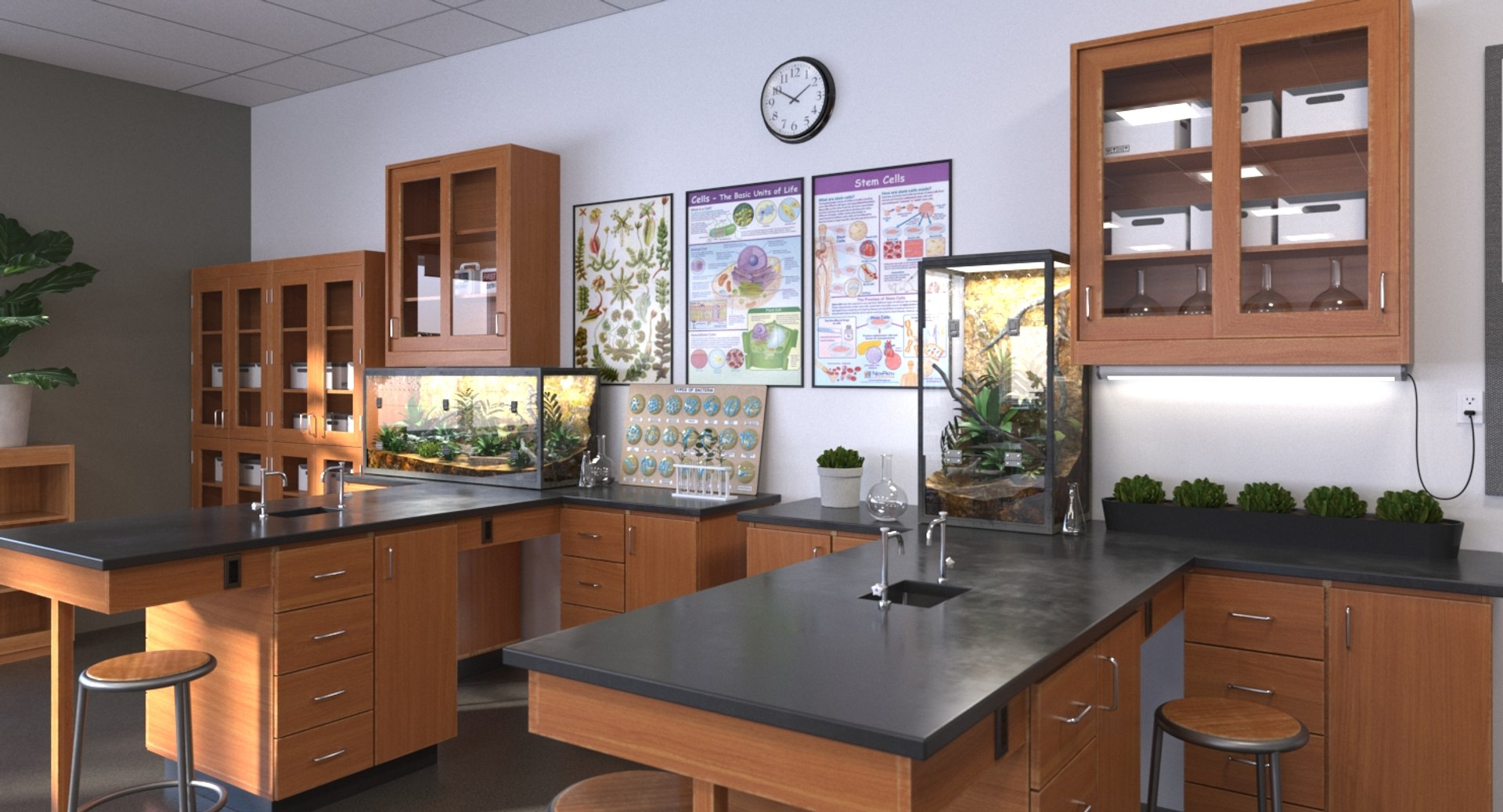 realistic school interiors 3D model https://p.turbosquid.com/ts-thumb/EE/TRXCm2/4IcPY1Sk/033_biolab_cam_004/jpg/1564148928/1920x1080/fit_q87/eb4c4d0953505423404250cbcbabfbebb990fc90/033_biolab_cam_004.jpg