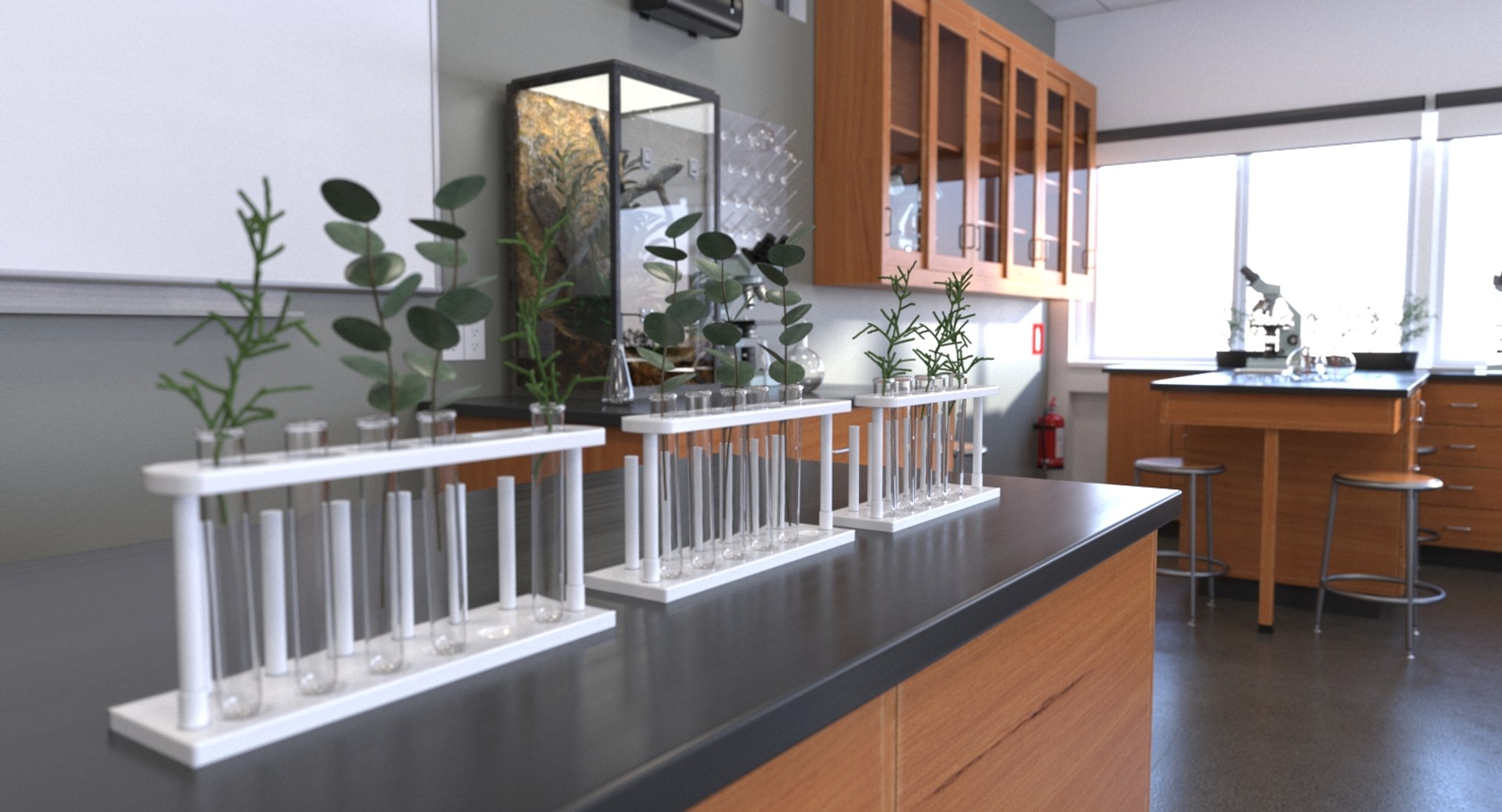 realistic school interiors 3D model https://p.turbosquid.com/ts-thumb/EE/TRXCm2/4qy59gfn/036_biolab_cam_007/jpg/1564148928/1920x1080/fit_q87/1e870b552923a054dac49bc3b4146510c3483b0a/036_biolab_cam_007.jpg