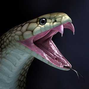 Animated Eastern Brown Snake 3D model - TurboSquid 1950264