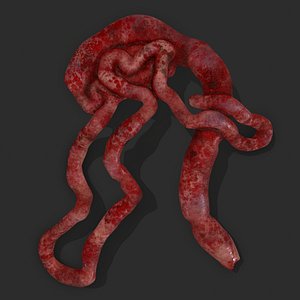Intestines Pile