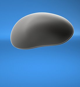 3d model mussel