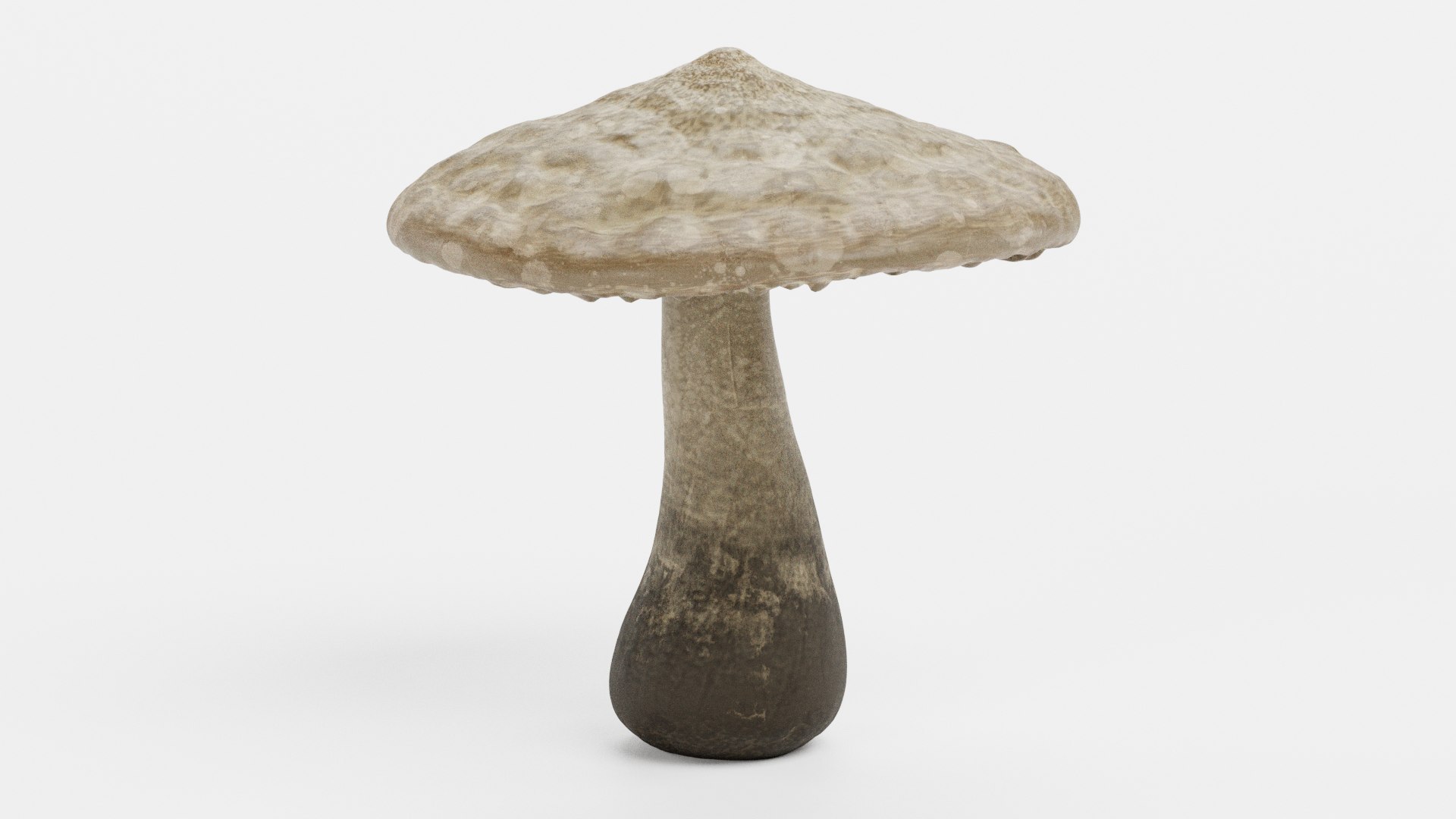 3D mushroom shroom - TurboSquid 1682716