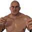max wrestler rigged