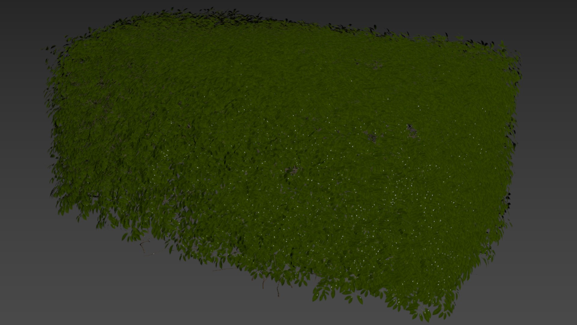 HQ Dwarf Yaupon Holly Spherical Box Plant 3D model https://p.turbosquid.com/ts-thumb/EG/8lPoyX/Jf/z05/png/1698152916/1920x1080/fit_q87/410ed303ce40f119d97a4261dbac501e9511094e/z05.jpg