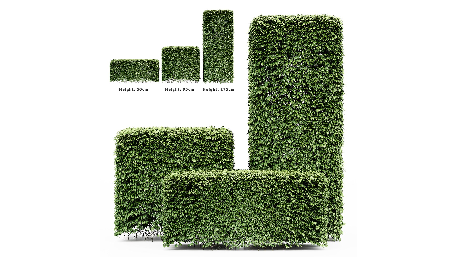 HQ Dwarf Yaupon Holly Spherical Box Plant 3D model https://p.turbosquid.com/ts-thumb/EG/8lPoyX/Y0/z02/png/1698152784/1920x1080/fit_q87/21edb6ff35855a7e848aed19d5cf5aa4e6326c1f/z02.jpg