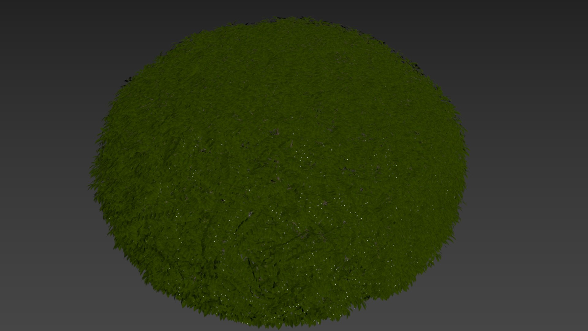 HQ Dwarf Yaupon Holly Spherical Box Plant 3D model https://p.turbosquid.com/ts-thumb/EG/8lPoyX/wG/z07/png/1698152934/1920x1080/fit_q87/2911871abdf8b2b421f41a23268b5a169e715b1b/z07.jpg