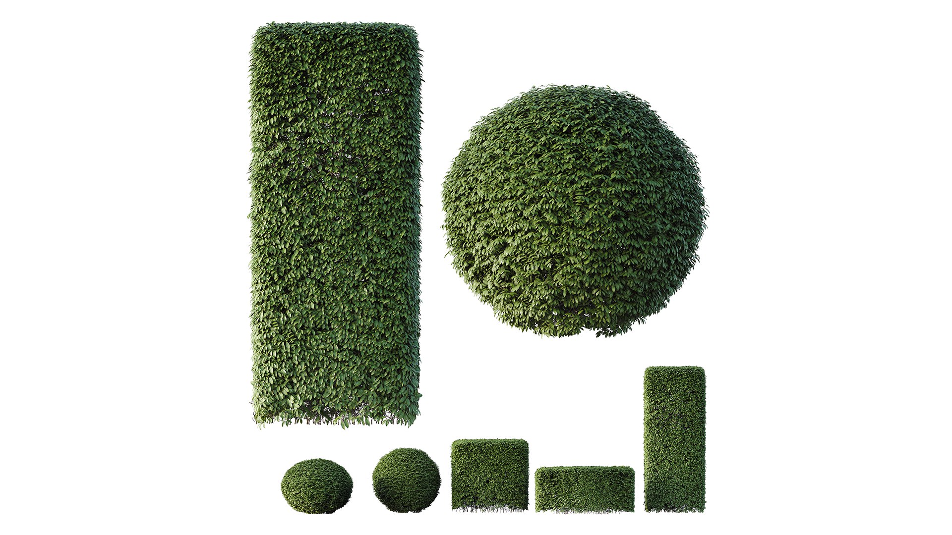HQ Dwarf Yaupon Holly Spherical Box Plant 3D model https://p.turbosquid.com/ts-thumb/EG/8lPoyX/xg/z01/png/1698152750/1920x1080/fit_q87/bef4adf173b8527b02d993341c90482ed00bb360/z01.jpg