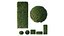 Завод по производству сферических коробок HQ Dwarf Yaupon Holly