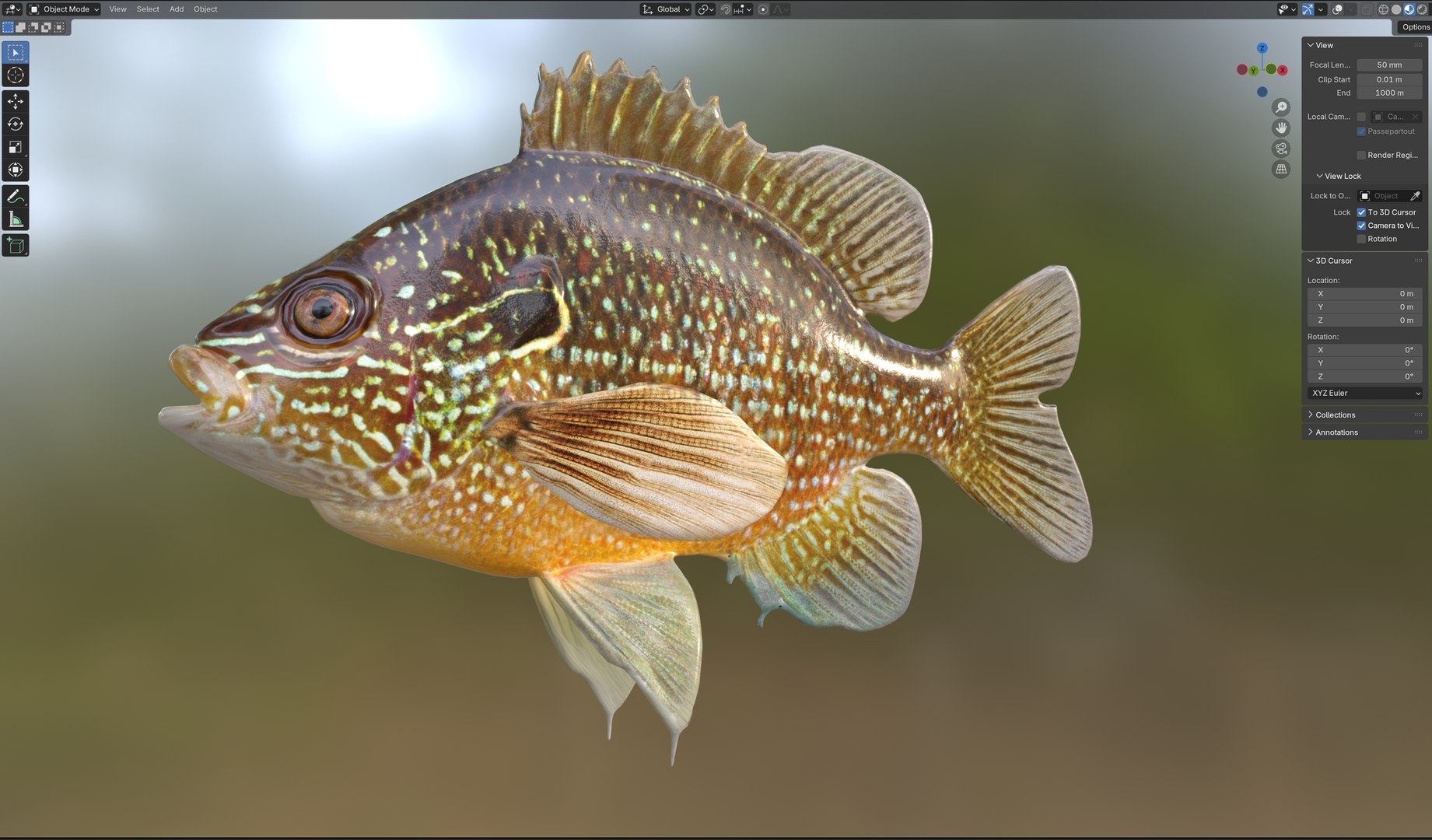 Dollar Sunfish 3D Model - TurboSquid 2511873