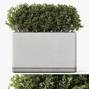 3D Plants collection 1083