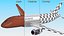 Sukhoi Superjet 100 95lr Aeroflot Flight
