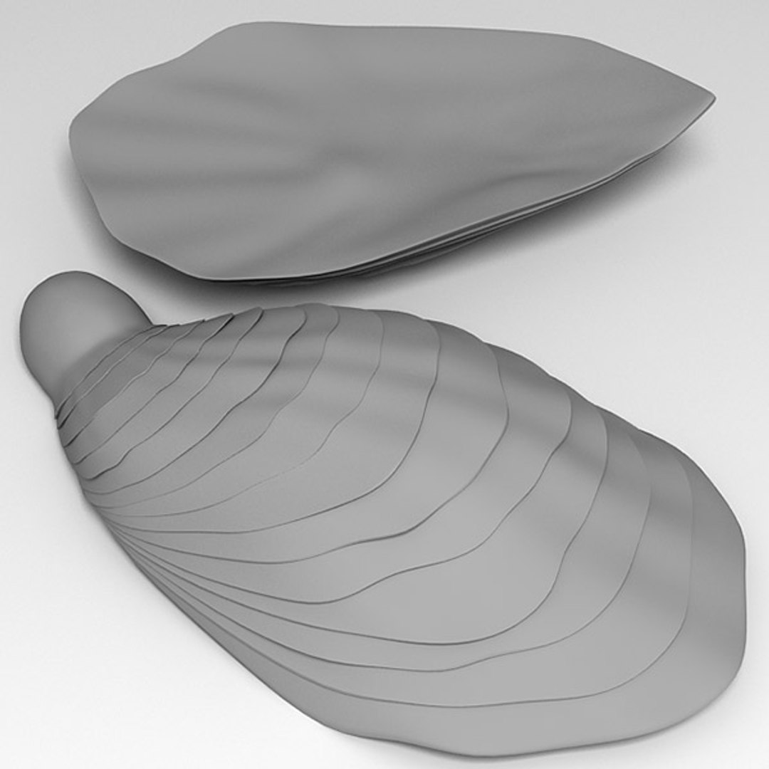 oyster seashell max https://p.turbosquid.com/ts-thumb/EG/MDwa2s/72SVgl6Z/oyster_13/jpg/1288804156/1920x1080/fit_q87/26302a8a609f78285014d70030f15ab20ab12c43/oyster_13.jpg