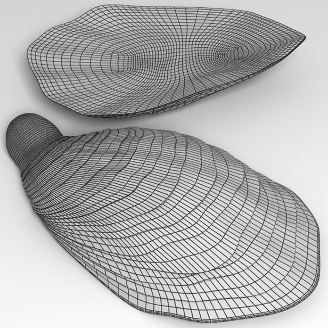 oyster seashell max https://p.turbosquid.com/ts-thumb/EG/MDwa2s/XnjvRva4/oyster_14/jpg/1288804156/1920x1080/fit_q87/8a44a99bb247a389b546d3f355911a52d9409587/oyster_14.jpg