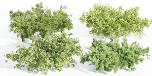 3D outdoor bushes collection vol 9-Blender