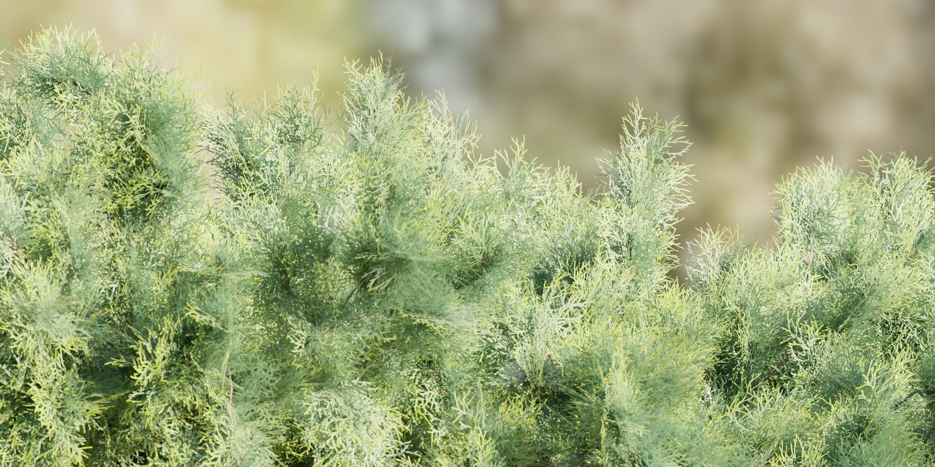 3D outdoor bushes collection vol 9-Blender https://p.turbosquid.com/ts-thumb/EG/Ojwmf3/Jr/8/jpg/1694454256/1920x1080/fit_q87/34e95c591b0ddcfc3e8f36d576c9bb57ee9bc2b5/8.jpg
