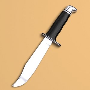 Buck Knife