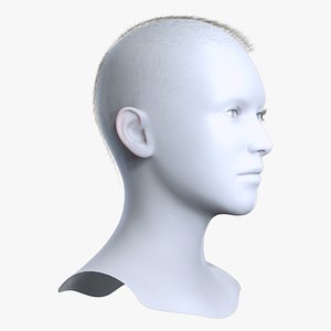 3D Realistic Buzzcut Hair Cards Shaved Low Poly Hairstyle model