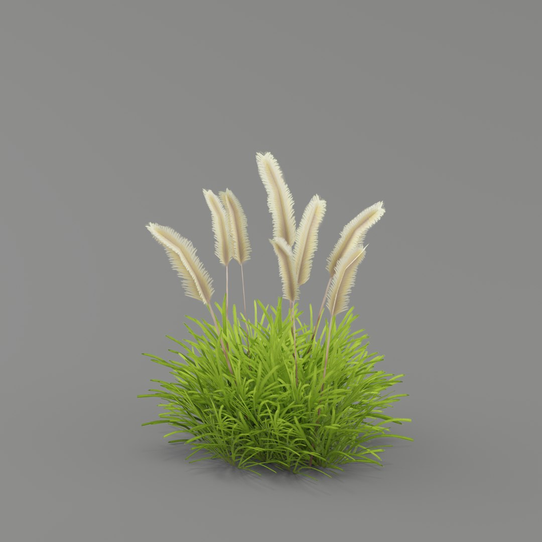 flower 3D https://p.turbosquid.com/ts-thumb/EG/mgI3DH/Q9BeiWyf/005/png/1561589464/1920x1080/fit_q87/9e9cb13536b0cc5c78c082503efac50320ffdd4d/005.jpg