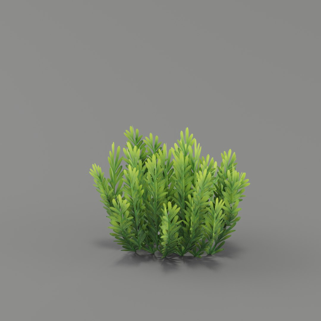 flower 3D https://p.turbosquid.com/ts-thumb/EG/mgI3DH/kCFBZDq9/011/png/1561590587/1920x1080/fit_q87/c667683e31768a7191f0c575ce14255ca282c842/011.jpg
