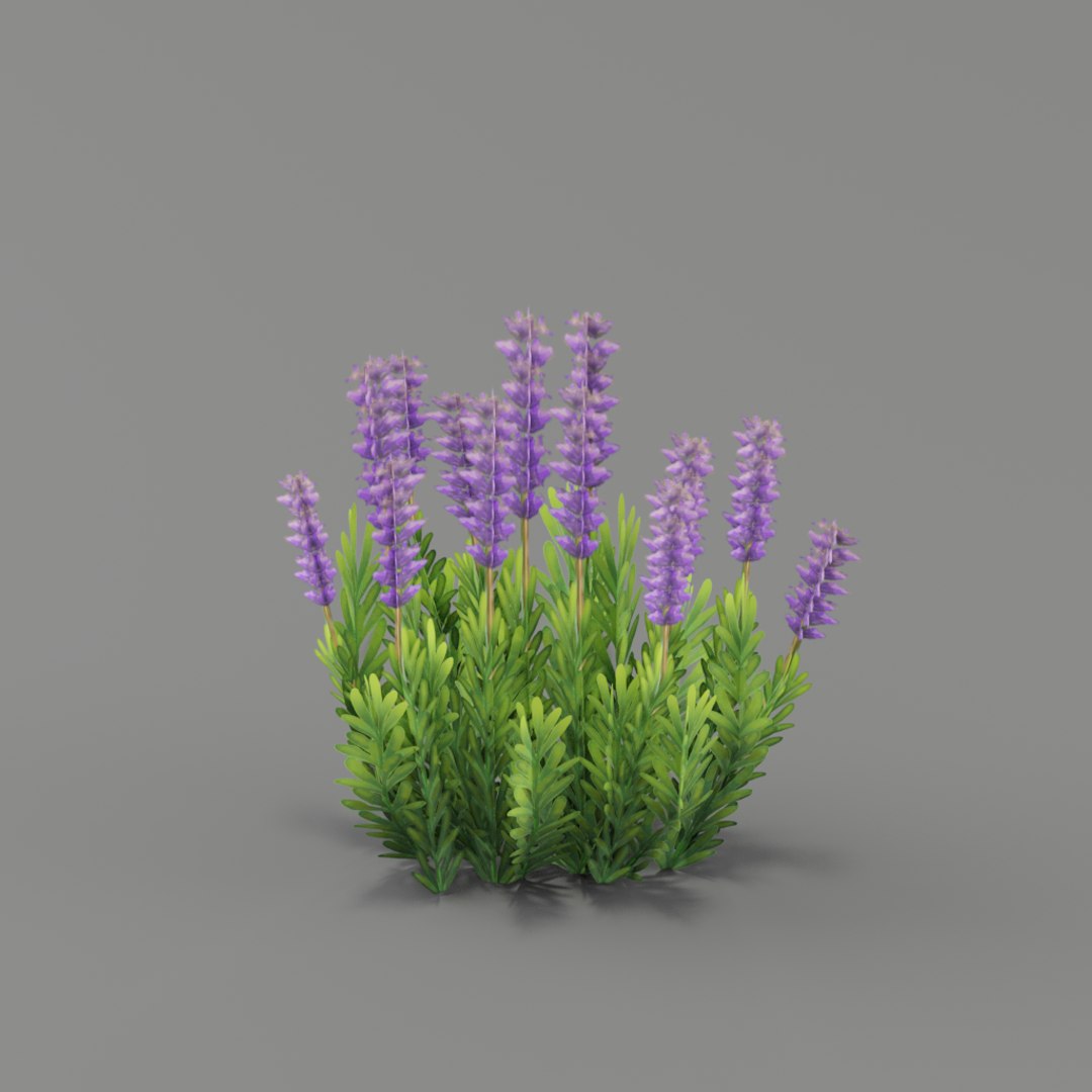 flower 3D https://p.turbosquid.com/ts-thumb/EG/mgI3DH/kt4LyJWh/010/png/1561590572/1920x1080/fit_q87/f53fad2a6366ee6a784d2411d23e4811a0b369ed/010.jpg