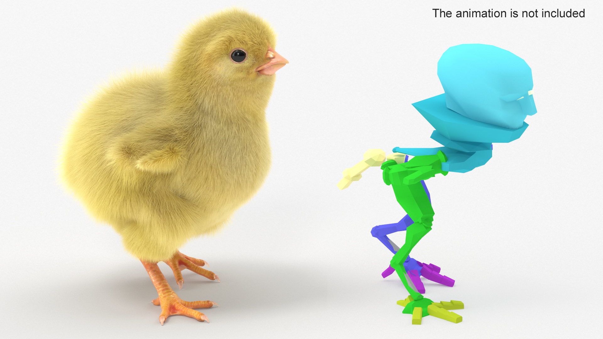 Baby Chicken Fur Rigged 3D model https://p.turbosquid.com/ts-thumb/EG/nxwYL1/pX/baby_chicken_fur_rigged_360/jpg/1722820173/1920x1080/turn_fit_q99/caad02b21fdfc9fb0133e4bc0079d50d814e02ad/baby_chicken_fur_rigged_360-1.jpg