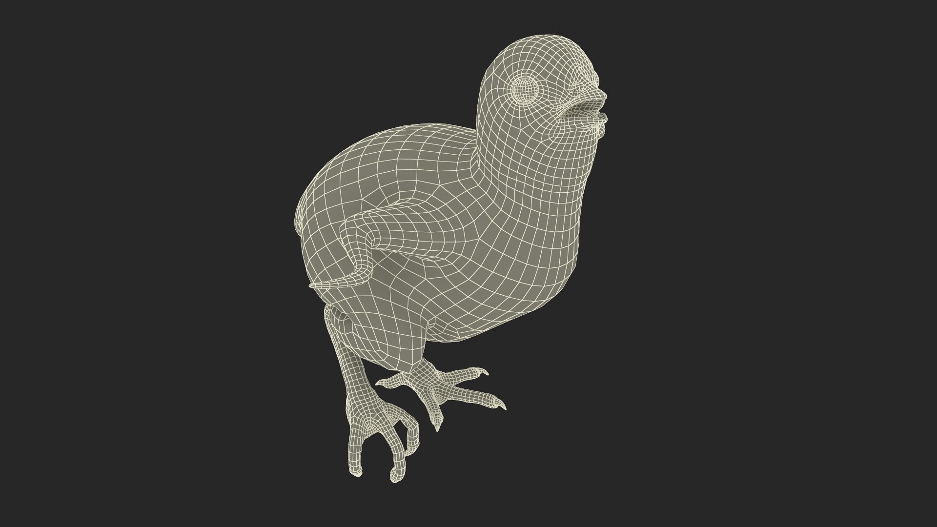 Baby Chicken Fur Rigged 3D model https://p.turbosquid.com/ts-thumb/EG/nxwYL1/zy/babychickenfurrigged3dmodel018/jpg/1722820697/1920x1080/fit_q87/d927b59ecea53403eea60f42e578d9f8f1c9efc0/babychickenfurrigged3dmodel018.jpg