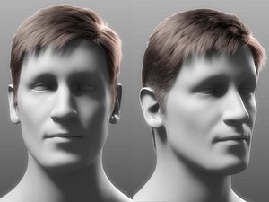 Realistic Male 3D Hair Asset